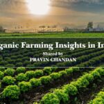 Organic Farming Insights in India: Shared by Pravin Chandan
