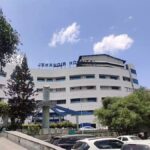 Pune Arts and Health Festival Concludes Successfully, Celebrating the Role of Creativity in Holistic Health