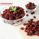 Cranberries and Digestive Health: Supporting the Stomach and Gut from Within