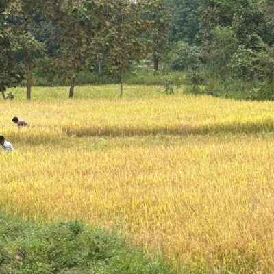 LongStraw Carbon Brings Climate Action and Rural Employment Together in Odisha’s Tribal Heartland